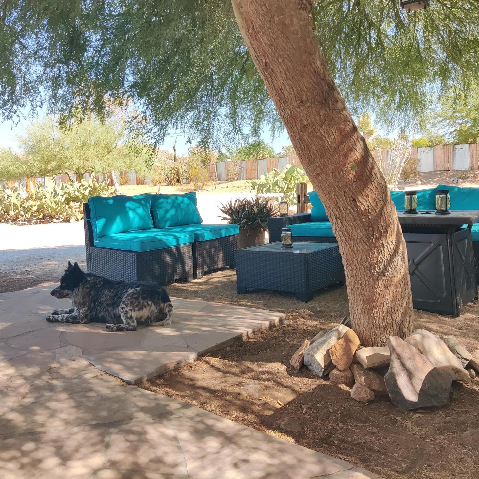 Joshua Tree Ranch House Motel - Downtown - Room #8 Dış mekan fotoğraf